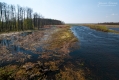 026_Biebrza - kwiecien 2010